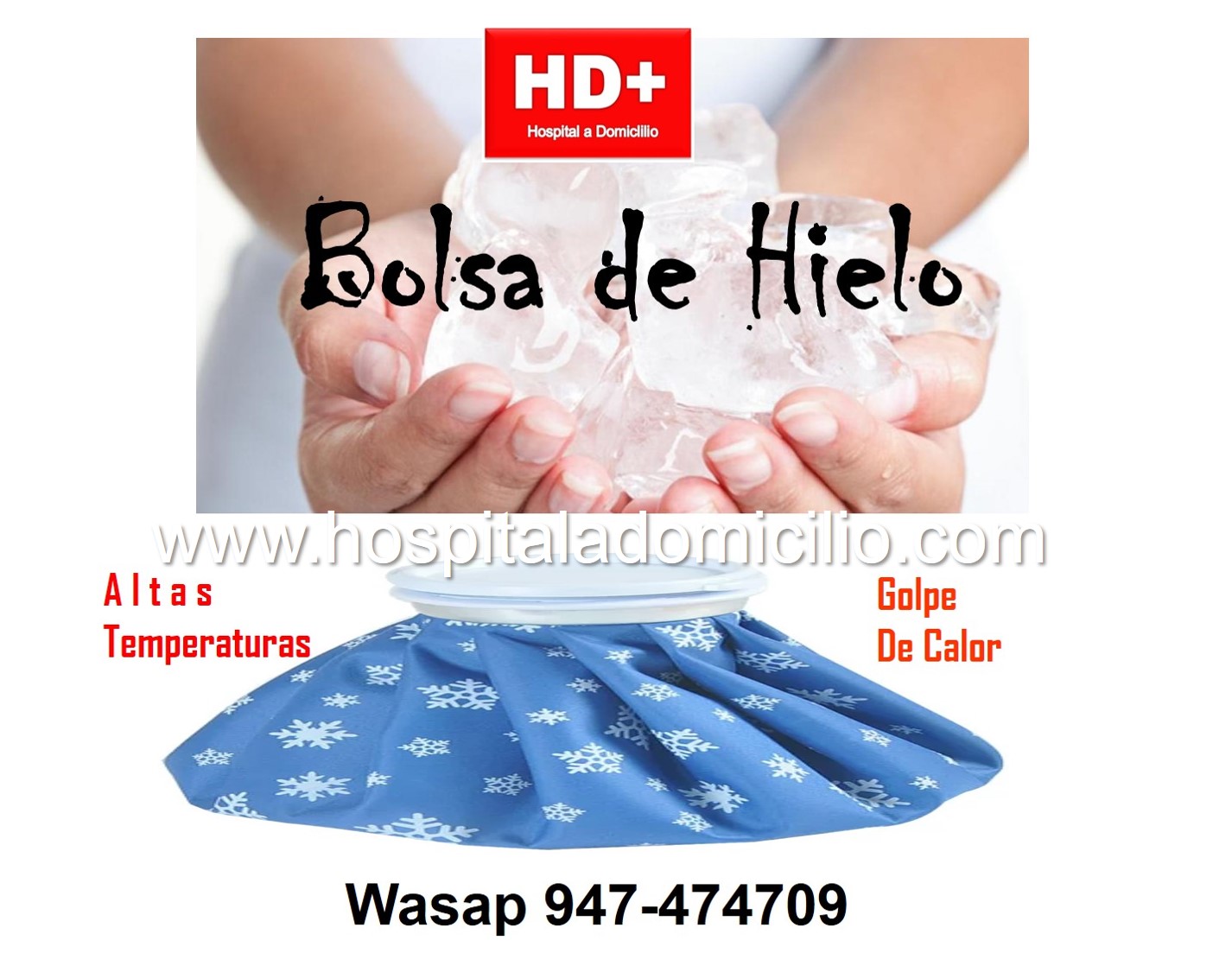 BOLSA de HIELO